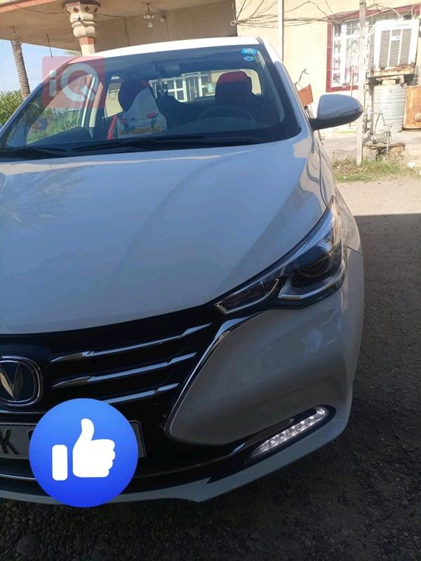 شانجان السفن 2025 للبيع في العراق - التاجي